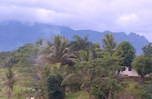 Shereen Shabnam homeview