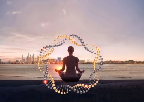 The Retreat Palm Dubai Detox Brunch.jpg